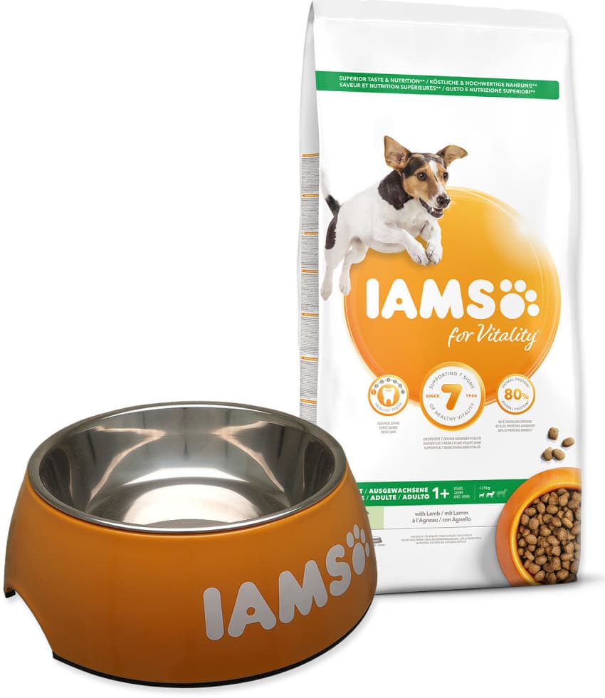 IAMS Adult Small & Medium Lamb