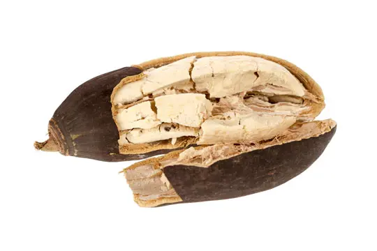 Složka granulí