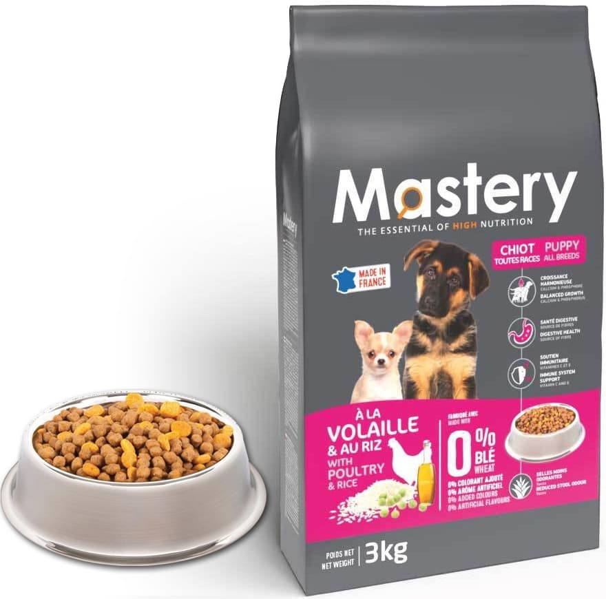 Mastery Puppy