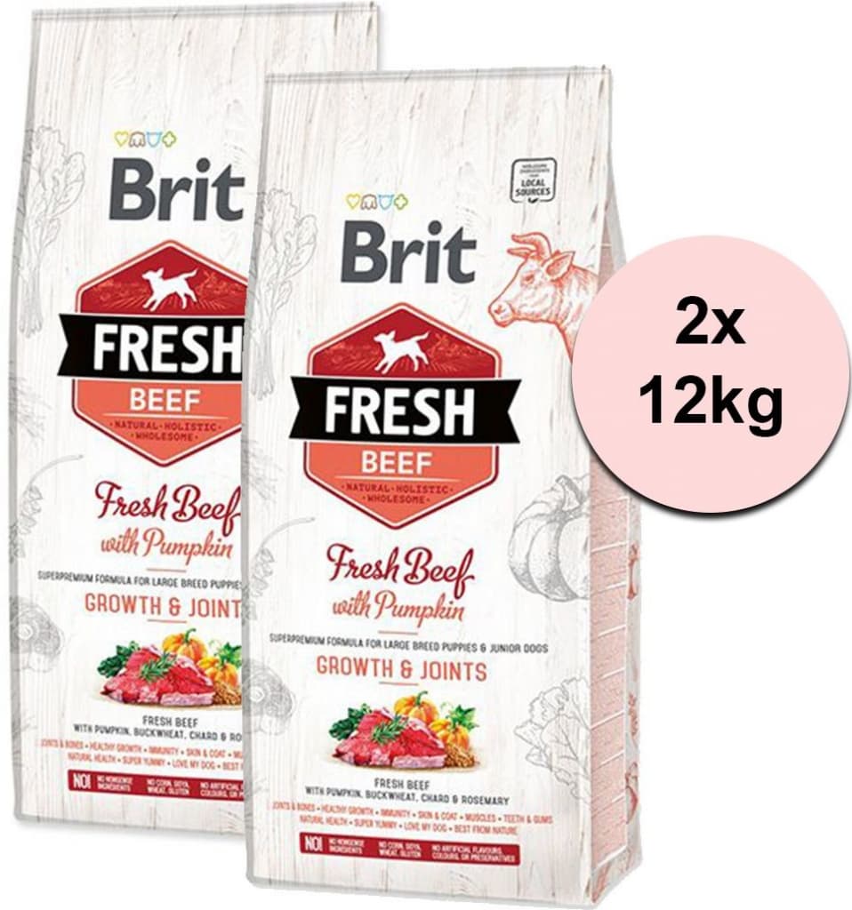 Brit Fresh Beef with Pumpkin Puppy Large