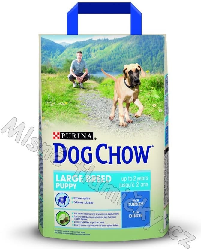 Purina Dog Chow Puppy Large Breed