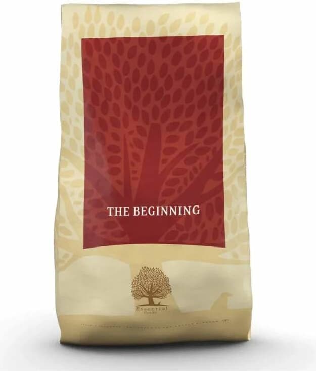 Essential Foods Beginning