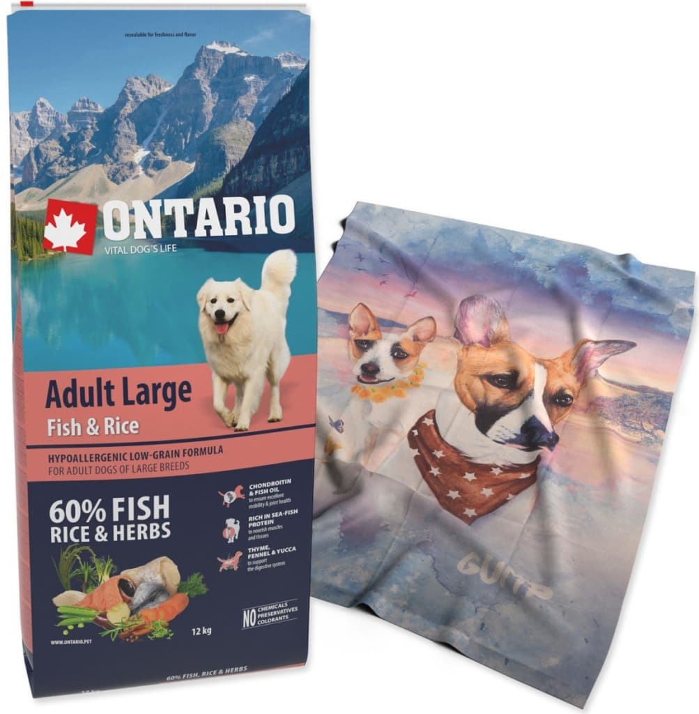 Ontario Adult Large Fish & Rice