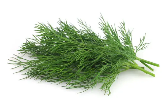 Složka granulí