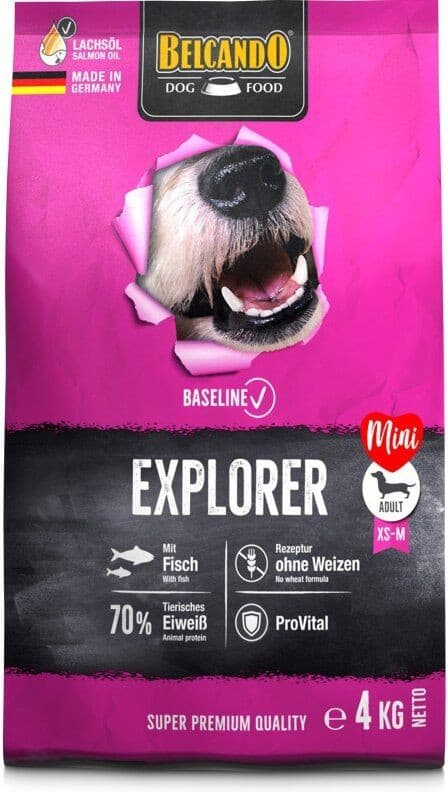 Belcando Baseline Explorer