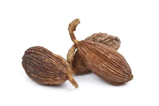 Složka granulí
