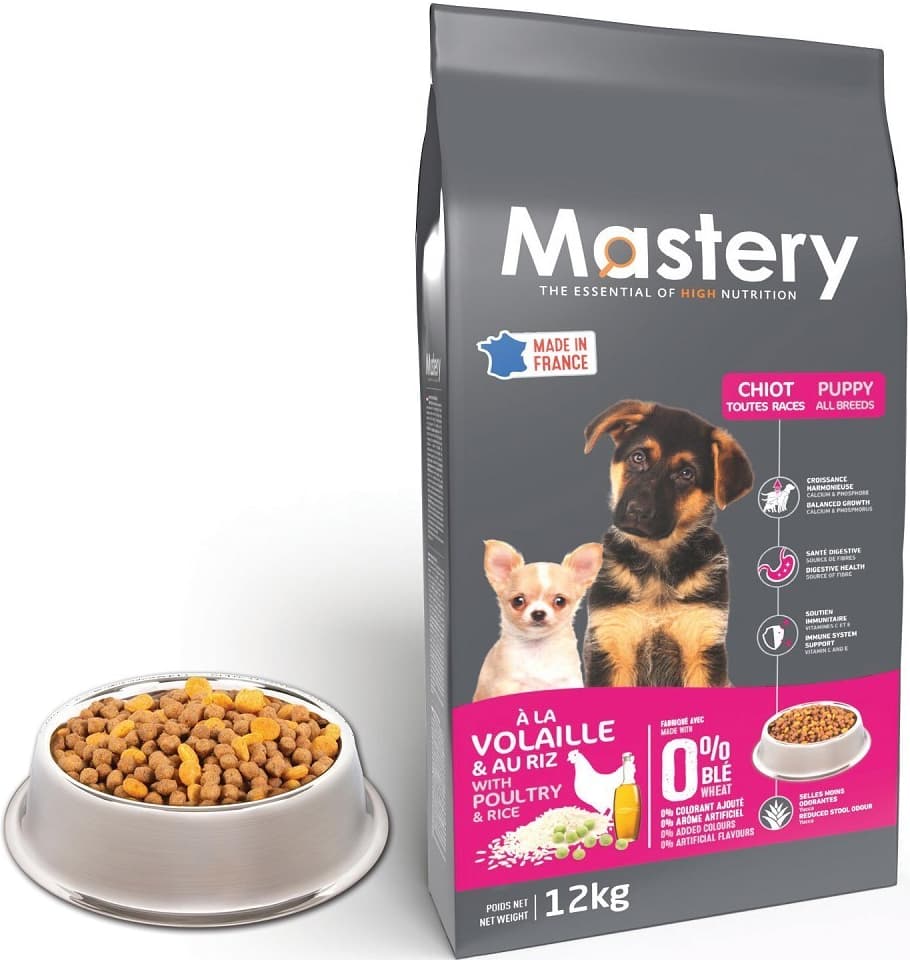 Mastery Puppy