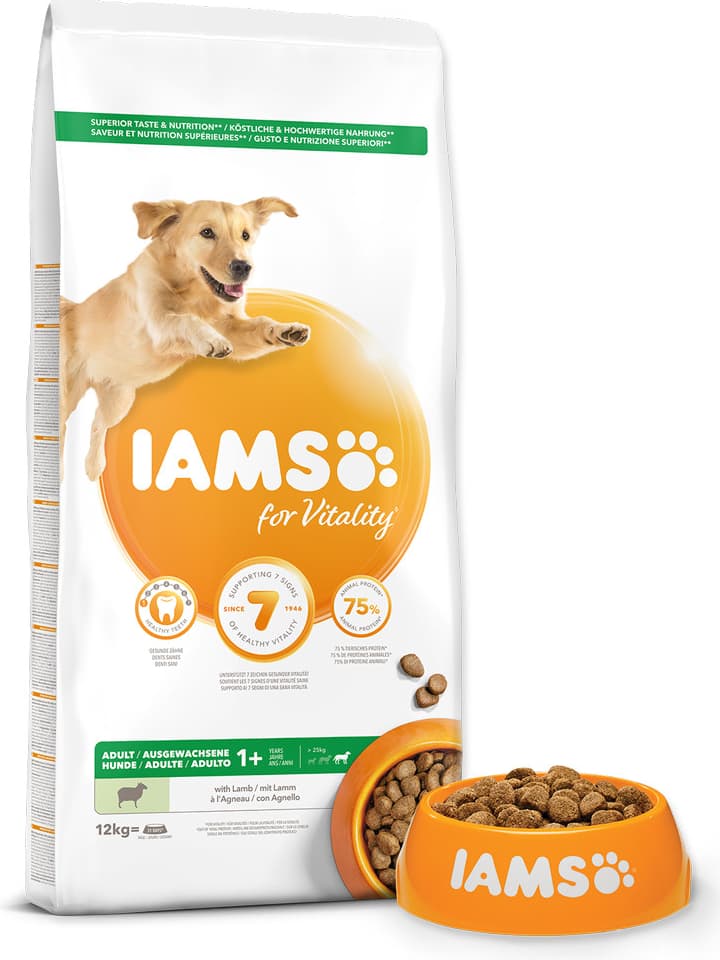 IAMS Adult Large Lamb