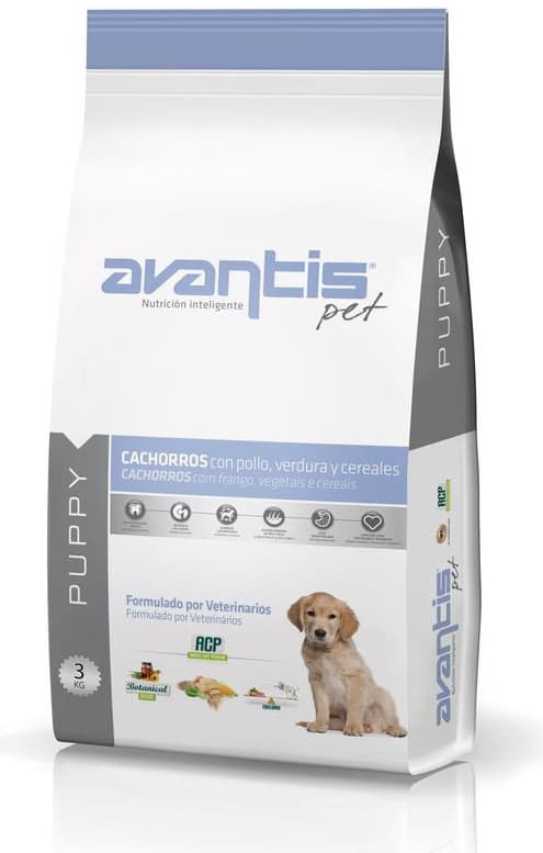 Avantis Puppy