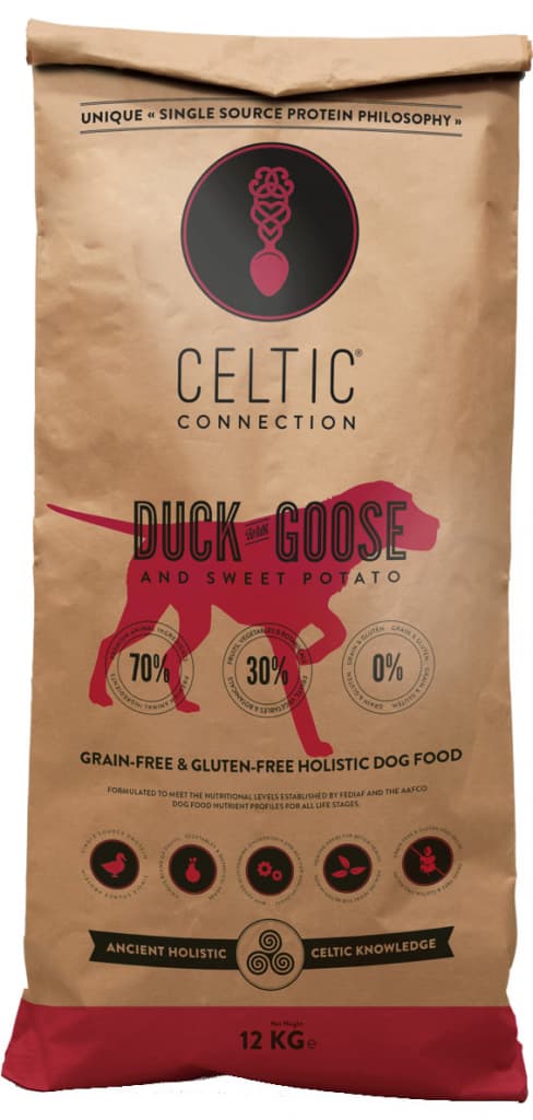 Celtic Connection Kachna a husa