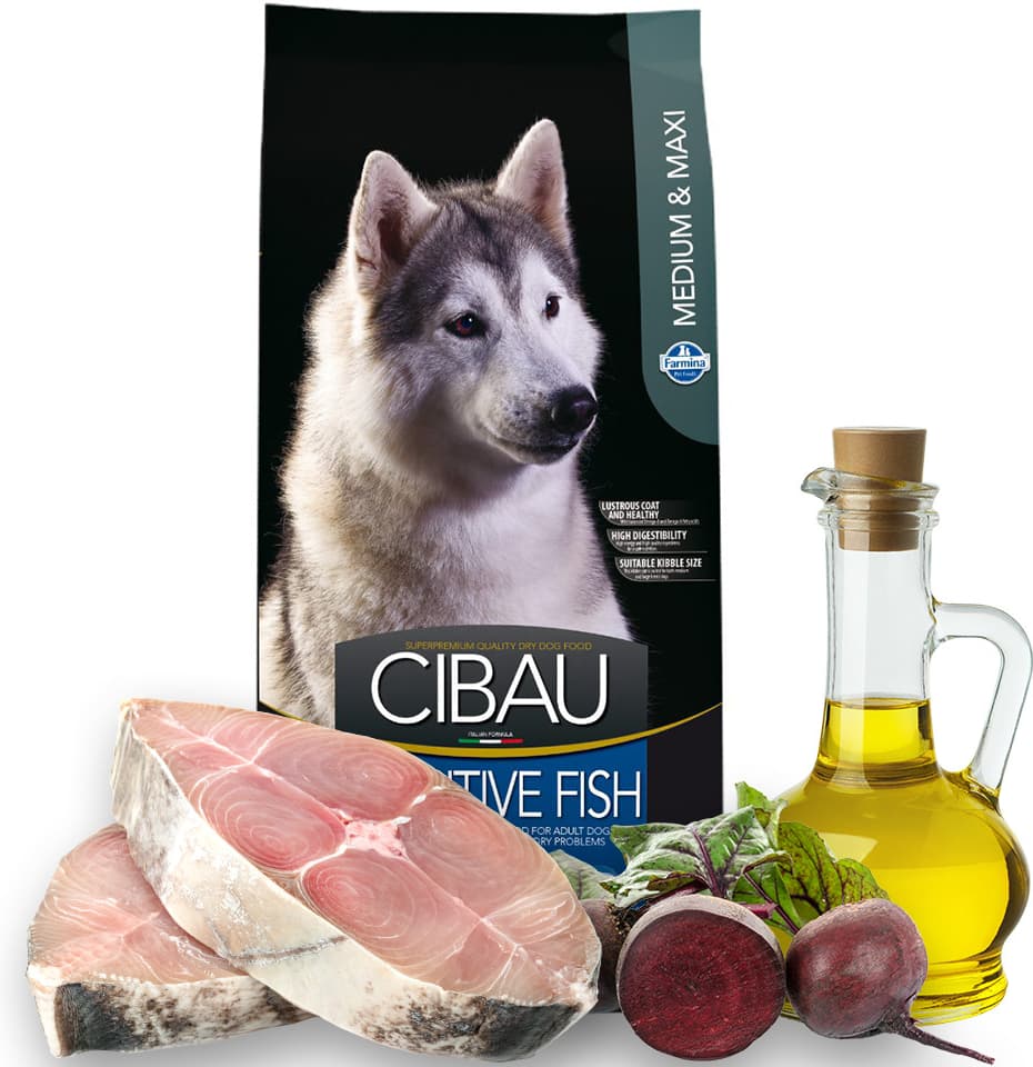 Cibau Sensitive Fish & Rice Adult Medium & Maxi