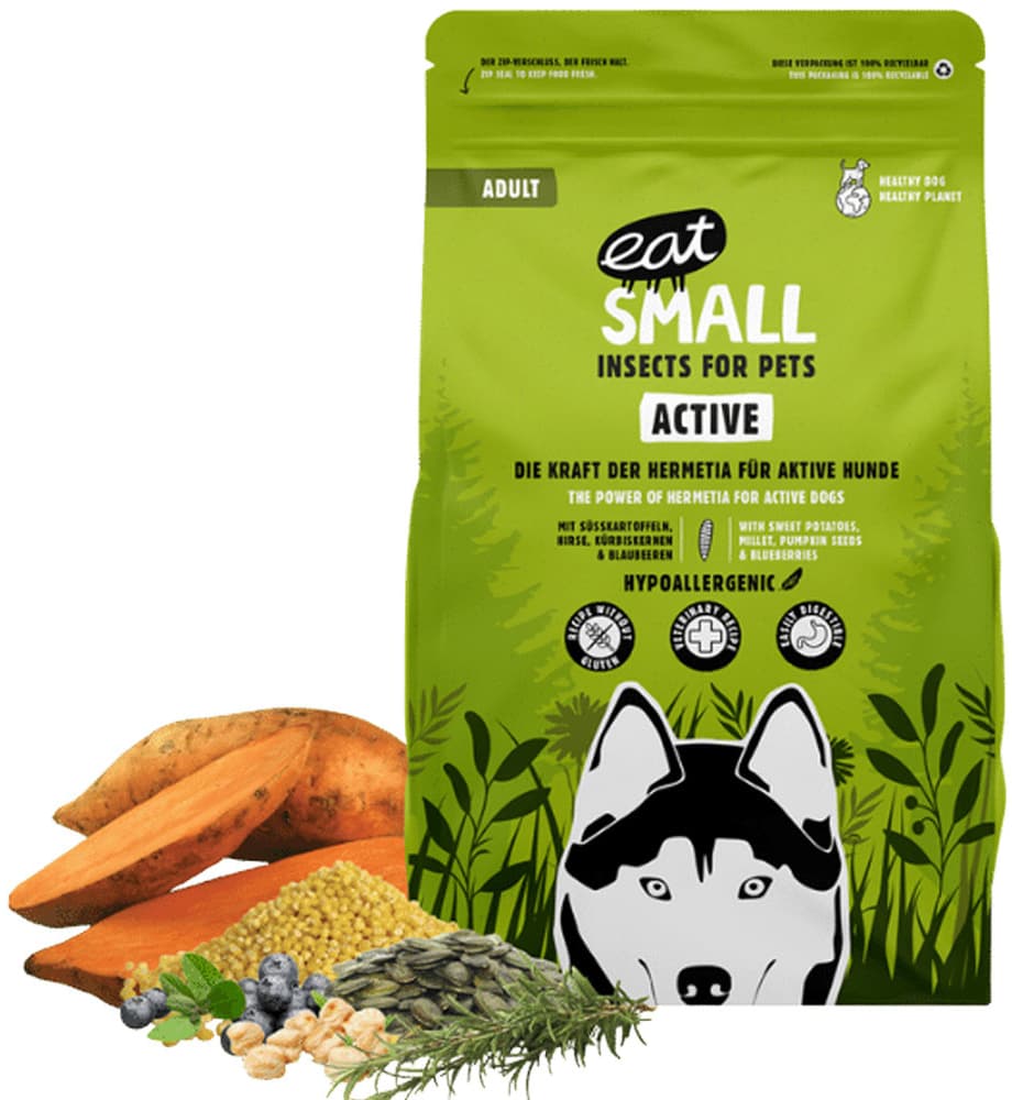 Eat Small Hmyzí Wald