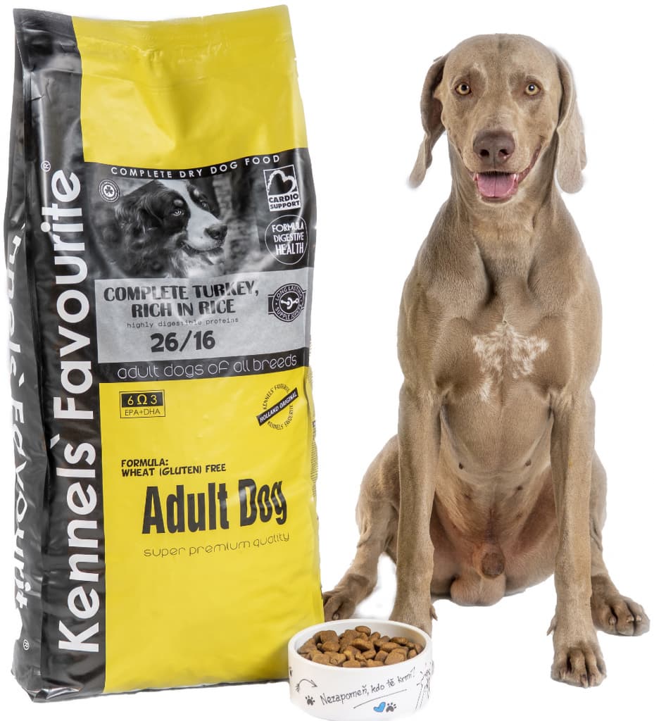 Kennels' Favourite Adult