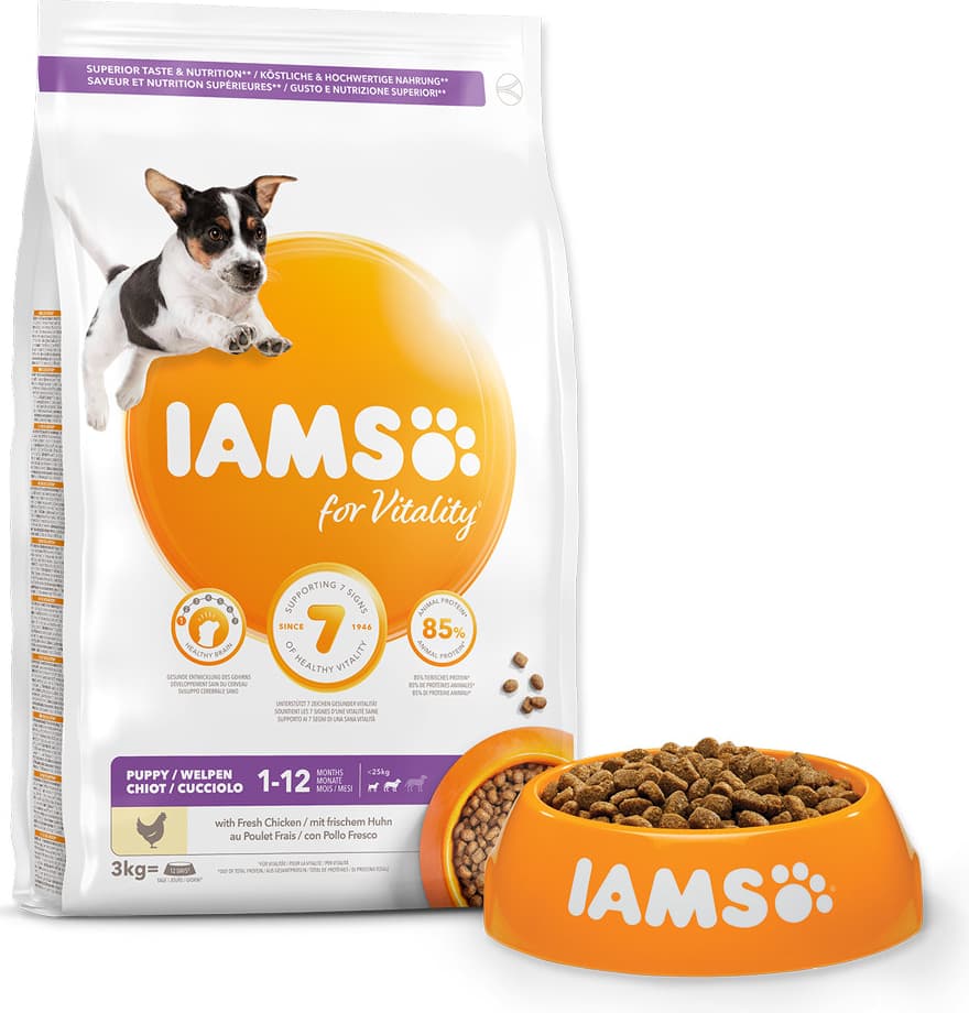 IAMS Puppy Small & Medium Chicken