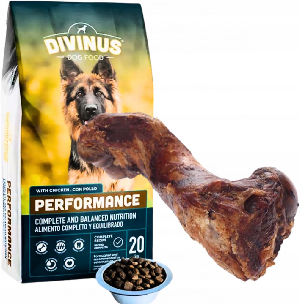 Divinus Performance