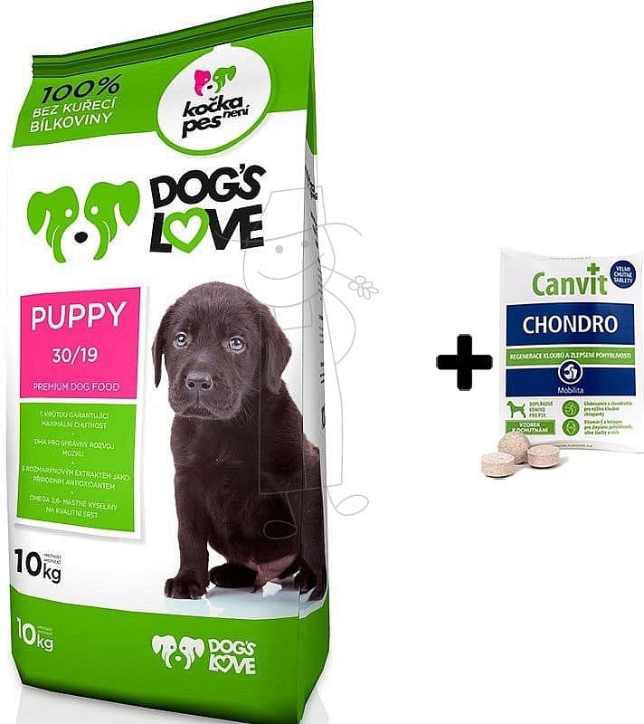 Dog's Love Puppy